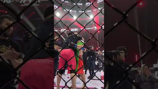 Ukrainalik MMAchi jangdan so'ng O'zbekiston bayrog'ini nima qilganini ko'ring смотреть онлайн