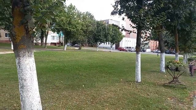 Польша свобода и развитие, Беларусь чистота улиц смотреть онлайн