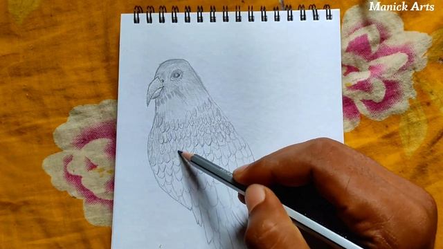 drawing | sketch drawing | drawing video | how to draw | bat drawing? смотреть онлайн