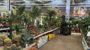 ОБЗОР МАГАЗИНА ОБИ МОСКВА ТЁПЛЫЙ СТАН/ ДЕКОР И РАСТЕНИЯ