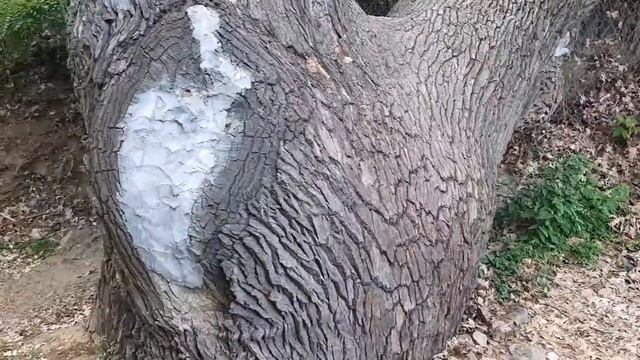 город Дубовка. Волгоградская область смотреть онлайн