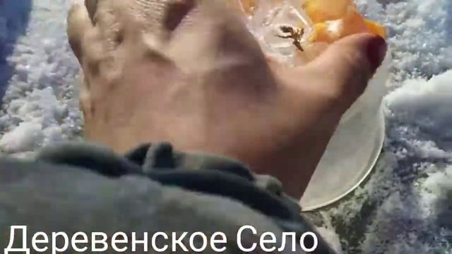 Прозрачные ледяные игрушки на ёлку своими руками..#игрушкиизльда.#прозрачныйлёд#Деревенскоесело смотреть онлайн