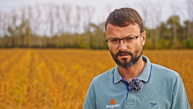 Болезни сои | Содержание протеина в сое | Ошибки в защите сои | Возделывание сои #соя смотреть онлайн