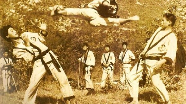 Боевые искусства мира. Тансудо