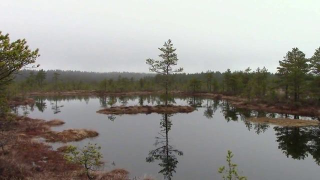 Viru Raba смотреть онлайн