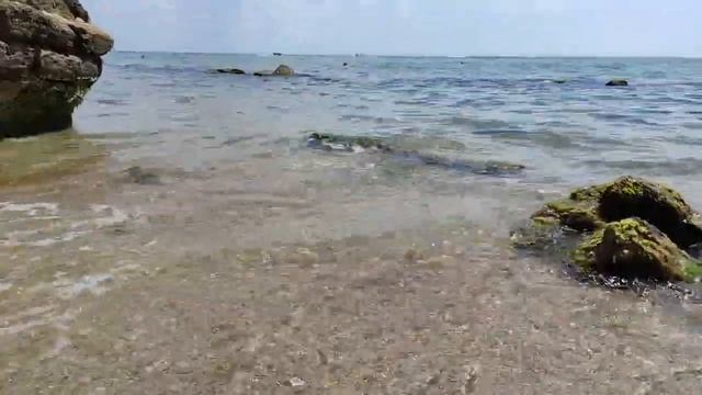 Ламинария морская капуста смотреть онлайн