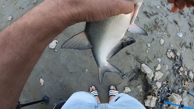 ЛОВИМ ЛЕЩА НА РЕКЕ ФИДЕРОМ. КАК ВЛИЯЕТ ТЕЧЕНИЕ НА КЛЕВ. КАК ПРАВИЛЬНО ЛОВИТЬ НА 2 УДИЛИЩА.