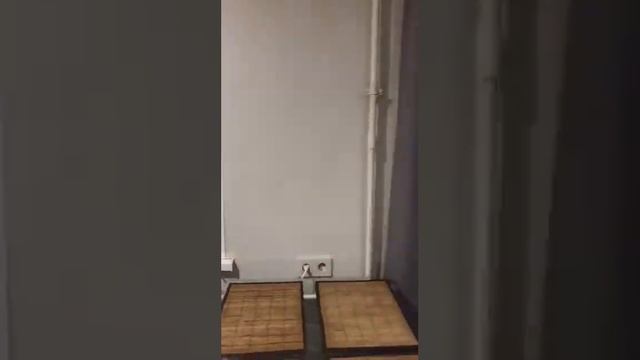 Посуточная аренда квартиры в центре города. Екатеринбург, ул Попова 21/Шейнкмана 30 смотреть онлайн