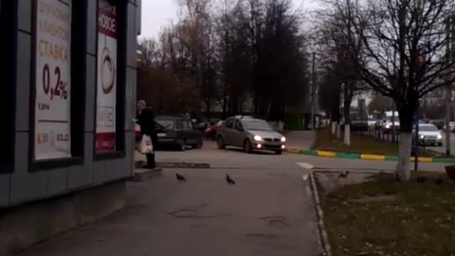 Утро1000--ВидноеЛенинскогоКомсомола_24102014-105802 смотреть онлайн