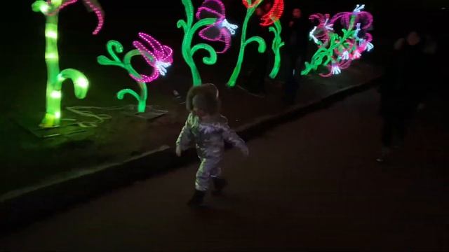 Выставка китайских фонариков/ Chinese lanterns смотреть онлайн
