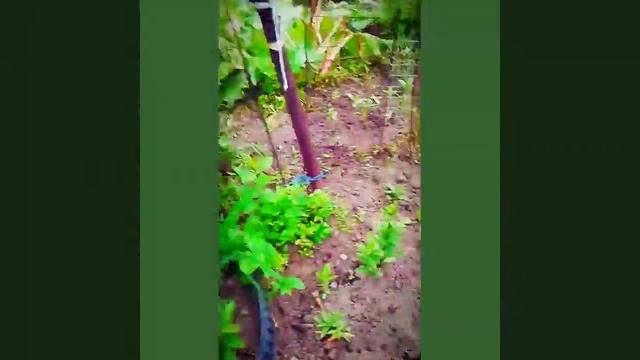 Моя дача 2018 год смотреть онлайн