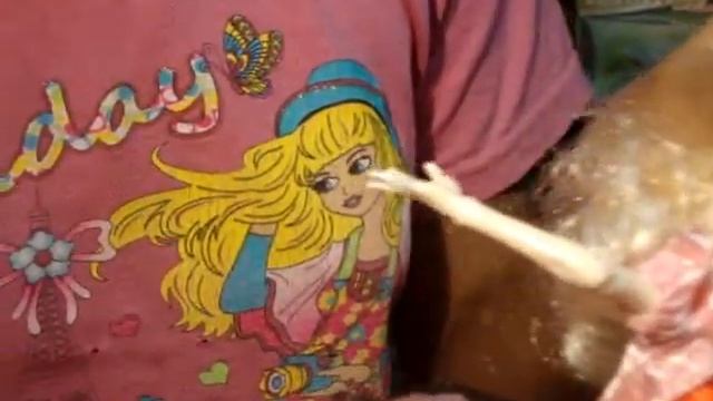 Обзор кукол фирмы Kaibibi смотреть онлайн