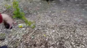 На что способен пневматический пистолет до 3 ДЖоулей?