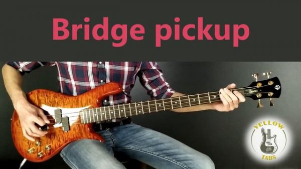 Spector Legend 4 EMG PJ SET Active Bass Pickup Set