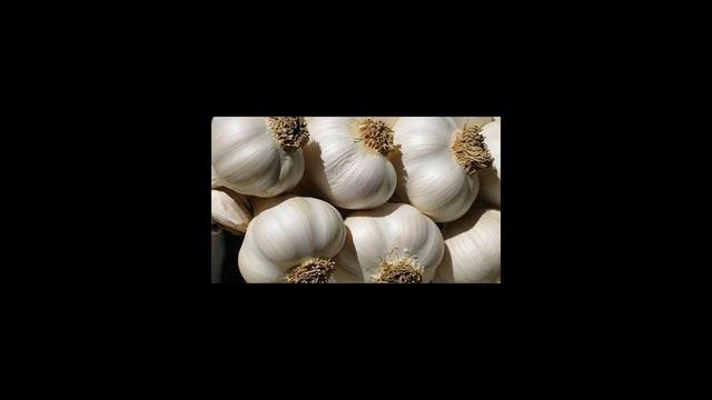 Как хранить чеснок зимой смотреть онлайн