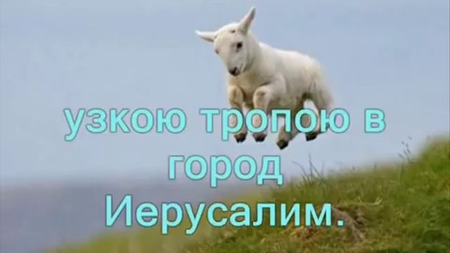 Караоке Христианские песни Я маленькая овечка. смотреть онлайн