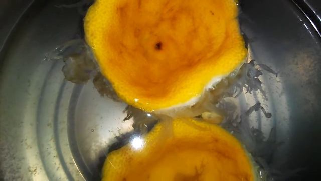 Как сделать жесткую воду полезной. Лайфхак.Lifehack. смотреть онлайн