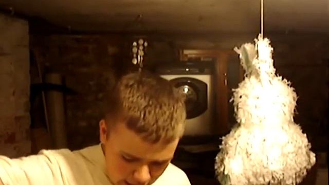 kill the bunny pt 1 смотреть онлайн