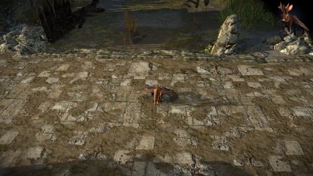 Path of Exile: Squeaking Wolpertinger Pet смотреть онлайн