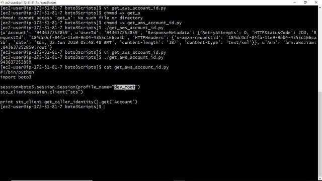 AWS Automation | Get AWS Account Id using Python boto3 Script смотреть онлайн