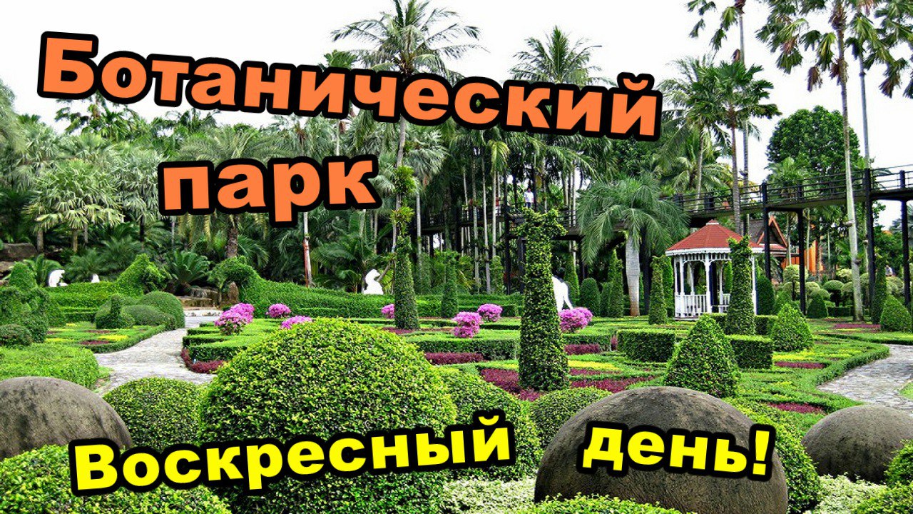 День 5 / Воскресный день, магазины, ботанический парк с растениями (Октябрь 2017) смотреть онлайн