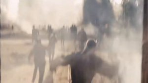 Защитникам Брестской крепости посвящается...