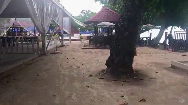 2024 1685 Сейшелы hotel Berjaya Beau Vallon 12мин.