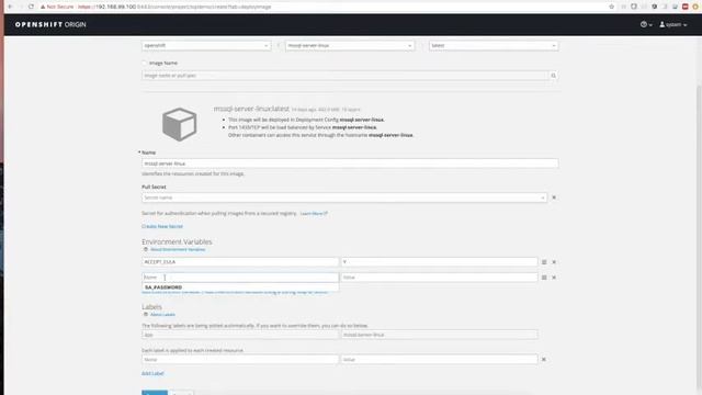 MS Sqlserver and dotnet demo on openshift смотреть онлайн