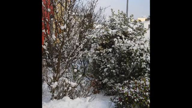 7. Dezember - Türchen 7 смотреть онлайн