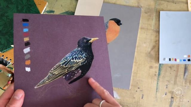 The Best Pastel Paper Colours смотреть онлайн