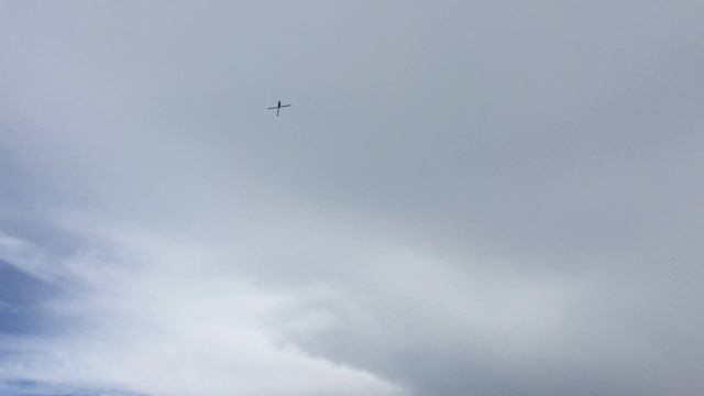 А вот и я (все что нажито непосильным трудом)