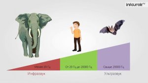 Источник звука. Звуковые колебания | Физика 9 класс #30 | Инфоурок