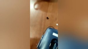 Ремонт камеры калипсо бесполезный после 2лет использования 10 раз- 15 р всего смотрел под водой