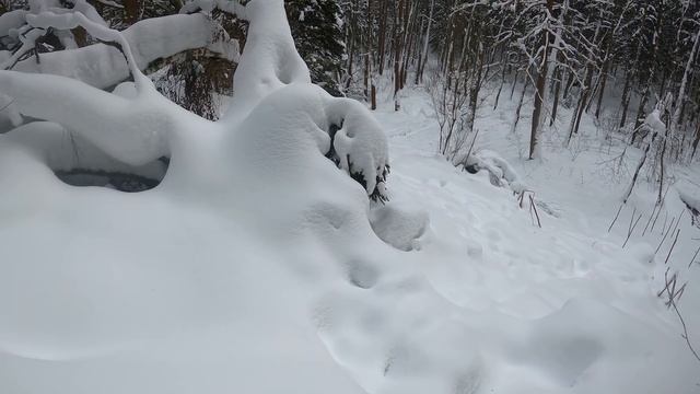 Мой ПЕРВЫЙ СНЕГОХОД Sharmax SN-240. Позитивный опыт)