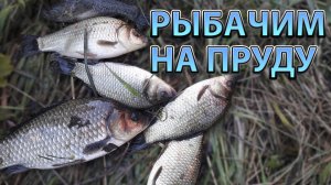 Рыбачим на пруду. Ловим карася и ротана