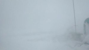 ожидаем обед в тундре