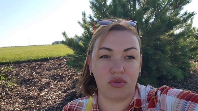 В Калгари из Британской Колумбии смотреть онлайн