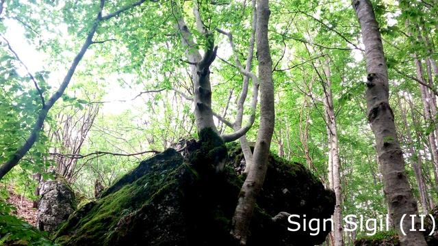 Sing.Sigil(II) (Adriano Fontana) contemporary dance original score смотреть онлайн