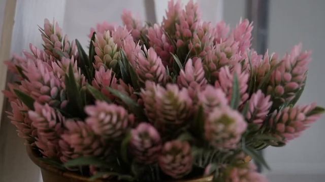 Примафлора Харьков 2019 смотреть онлайн