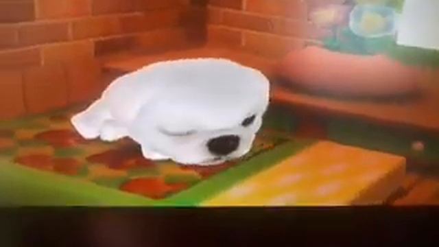 THE DOG island eps 1: woof woof смотреть онлайн