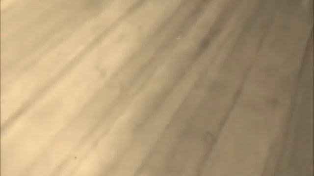 Pyramid Raiders + Lego! смотреть онлайн