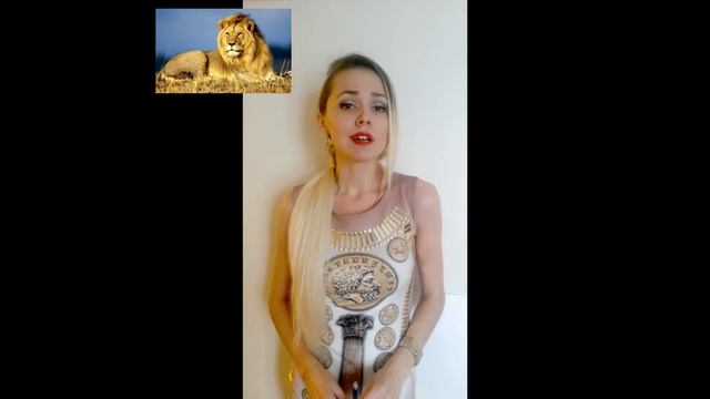 Подружись со своим медведем! Часть первая! смотреть онлайн