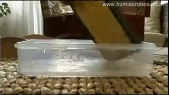 NL How to fill a humidifier смотреть онлайн