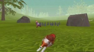 Типы игроков в Вайлд крафт