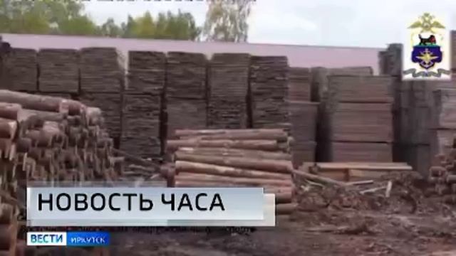Транспортные полицейские Прибайкалья задержали мэра района за контрабанду леса смотреть онлайн