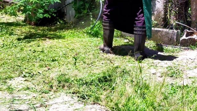 OVERGROWN GRASS CUTTING USING BRUSH CUTTER / GRASS CUTTER MACHINE смотреть онлайн