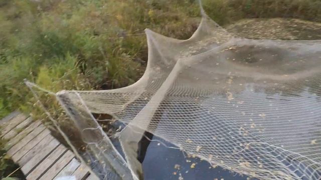 самый простой пруд с форелью . Как обустроить пруд для форели . Устройство пруда смотреть онлайн