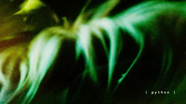 PYTHON (by Absofacto) смотреть онлайн