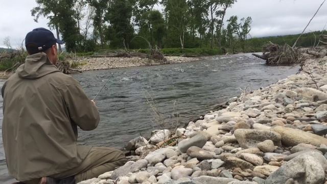 Голец ,Сима ,Горбуша 2018год Север Приморья смотреть онлайн