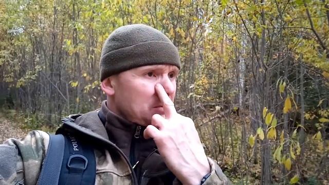 охота на рябчика. ходовая на боровая дичь. смотреть онлайн